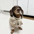 画像14: ダックスフンド 服 Tシャツ コーデュロイ パーカー 小型犬 中型犬 S M L XL 冬 ダックス おしゃれ 犬 洋服 doggystar ドッギースター 10月初旬発送 (14)