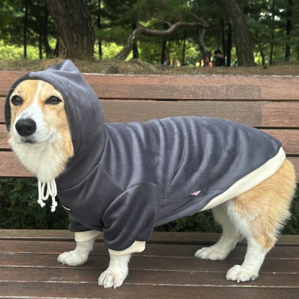 画像18: ウェルシュ コーギー 服 コーデュロイパーカー Tシャツ 2XL 3XL 4XL 5XL中型犬 大型犬 秋冬 コーギー おしゃれ 犬服 doggystar ドッギースター  10月初旬発送出来ます (18)