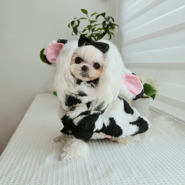 画像15: 犬服 ウシさん ボアパーカー Tシャツ 小型犬 中型犬 大型犬 S M L XL 2XL 3XL 4XL 5XL 6XL 秋冬 韓国犬服 おしゃれ ペット服 doggystar ドッギースター  (15)