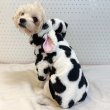 画像18: 犬服 ウシさん ボアパーカー Tシャツ 小型犬 中型犬 大型犬 S M L XL 2XL 3XL 4XL 5XL 6XL 秋冬 韓国犬服 おしゃれ ペット服 doggystar ドッギースター  (18)