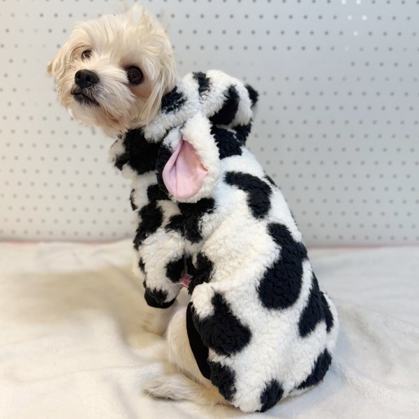 画像18: 犬服 ウシさん ボアパーカー Tシャツ 小型犬 中型犬 大型犬 S M L XL 2XL 3XL 4XL 5XL 6XL 秋冬 韓国犬服 おしゃれ ペット服 doggystar ドッギースター  (18)