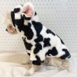 画像20: 犬服 ウシさん ボアパーカー Tシャツ 小型犬 中型犬 大型犬 S M L XL 2XL 3XL 4XL 5XL 6XL 秋冬 韓国犬服 おしゃれ ペット服 doggystar ドッギースター  (20)