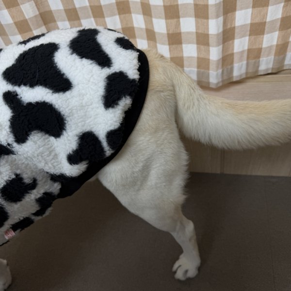 画像12: 犬服 ウシさん ボアパーカー Tシャツ 小型犬 中型犬 大型犬 S M L XL 2XL 3XL 4XL 5XL 6XL 秋冬 韓国犬服 おしゃれ ペット服 doggystar ドッギースター  (12)
