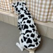 画像10: 犬服 ウシさん ボアパーカー Tシャツ 小型犬 中型犬 大型犬 S M L XL 2XL 3XL 4XL 5XL 6XL 秋冬 韓国犬服 おしゃれ ペット服 doggystar ドッギースター  (10)