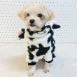 画像14: 犬服 ウシさん ボアパーカー Tシャツ 小型犬 中型犬 大型犬 S M L XL 2XL 3XL 4XL 5XL 6XL 秋冬 韓国犬服 おしゃれ ペット服 doggystar ドッギースター  (14)
