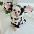 画像16: 犬服 ウシさん ボアパーカー Tシャツ 小型犬 中型犬 大型犬 S M L XL 2XL 3XL 4XL 5XL 6XL 秋冬 韓国犬服 おしゃれ ペット服 doggystar ドッギースター  (16)