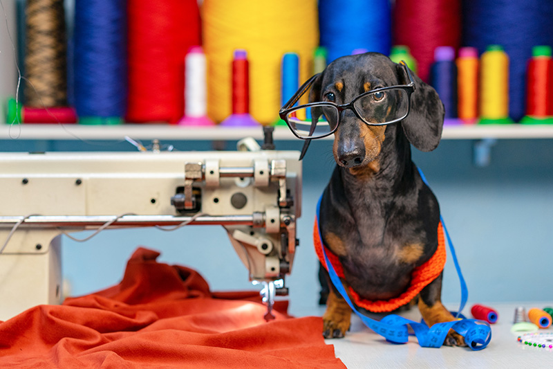 コロナの中での犬服の新作作り！