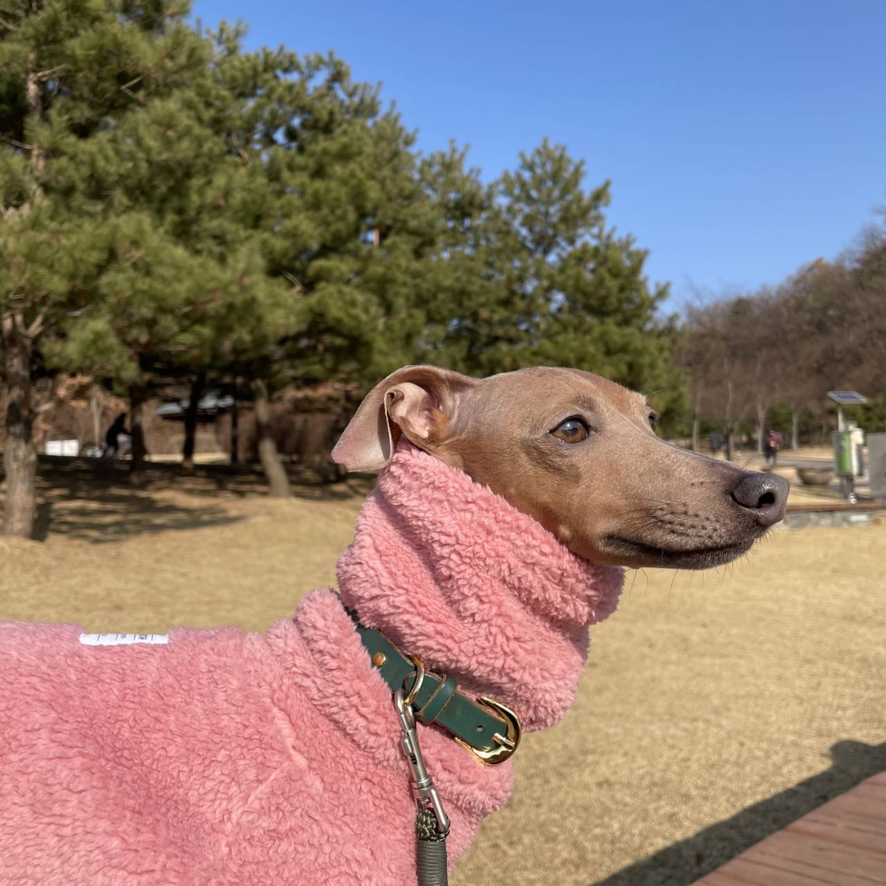 犬服のもこもこのシーズンがやってきた！