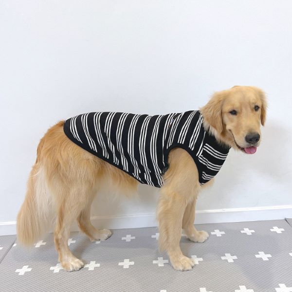 cocker papa(コカパパ)doggy star(ドッギースター)イタグレ服を中心と cocker papa(コカパパ)doggy star(ドッギースター)イタグレ服を中心と