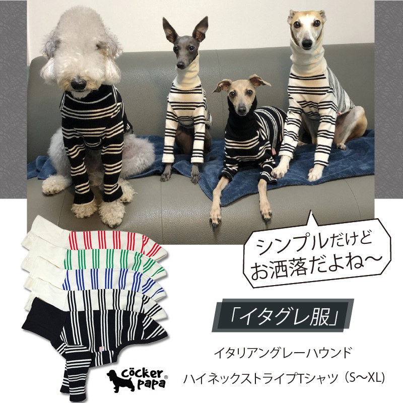 ココ　イタグレ服　ハンドメイド 174245403_o4.png?
