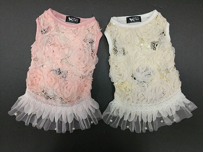 犬服 インポートドッグウェアcockerpapa コカパパ Doggystar ドッギースター 犬服 インポートドッグウェアcockerpapa コカパパ Doggystar ドッギースター