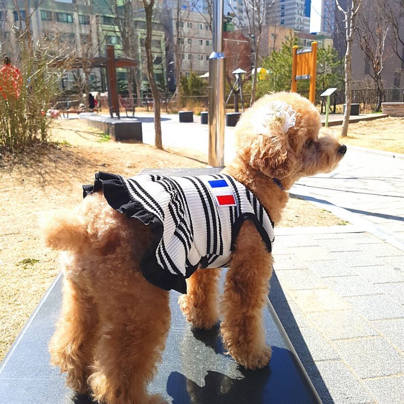 犬服 Vネック ボーダー ワンピース 春夏秋冬 小型犬 中型犬 韓国 