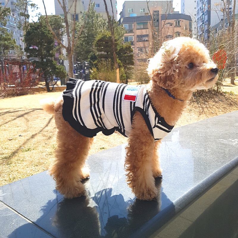 犬服 Vネック ボーダー ワンピース 春夏秋冬 小型犬 中型犬 韓国 