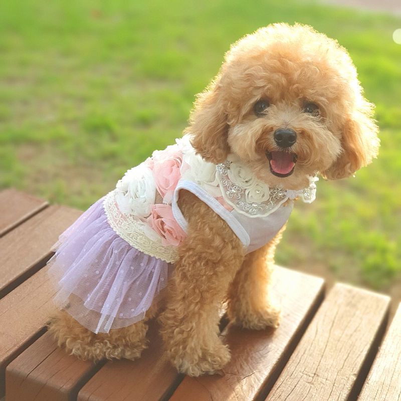 犬服 3S わんこの普段着　ブラウンローズ 犬服 3S わんこの普段着 ブラウンローズ 犬服 S わんこの普段着