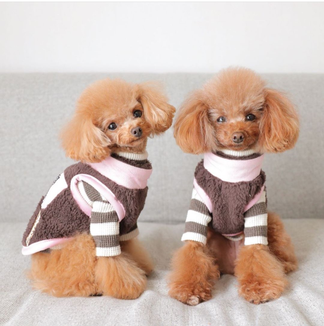 犬服 インポートドッグウェアcockerpapa コカパパ Doggystar ドッギースター 犬服 インポートドッグウェアcockerpapa コカパパ Doggystar ドッギースター