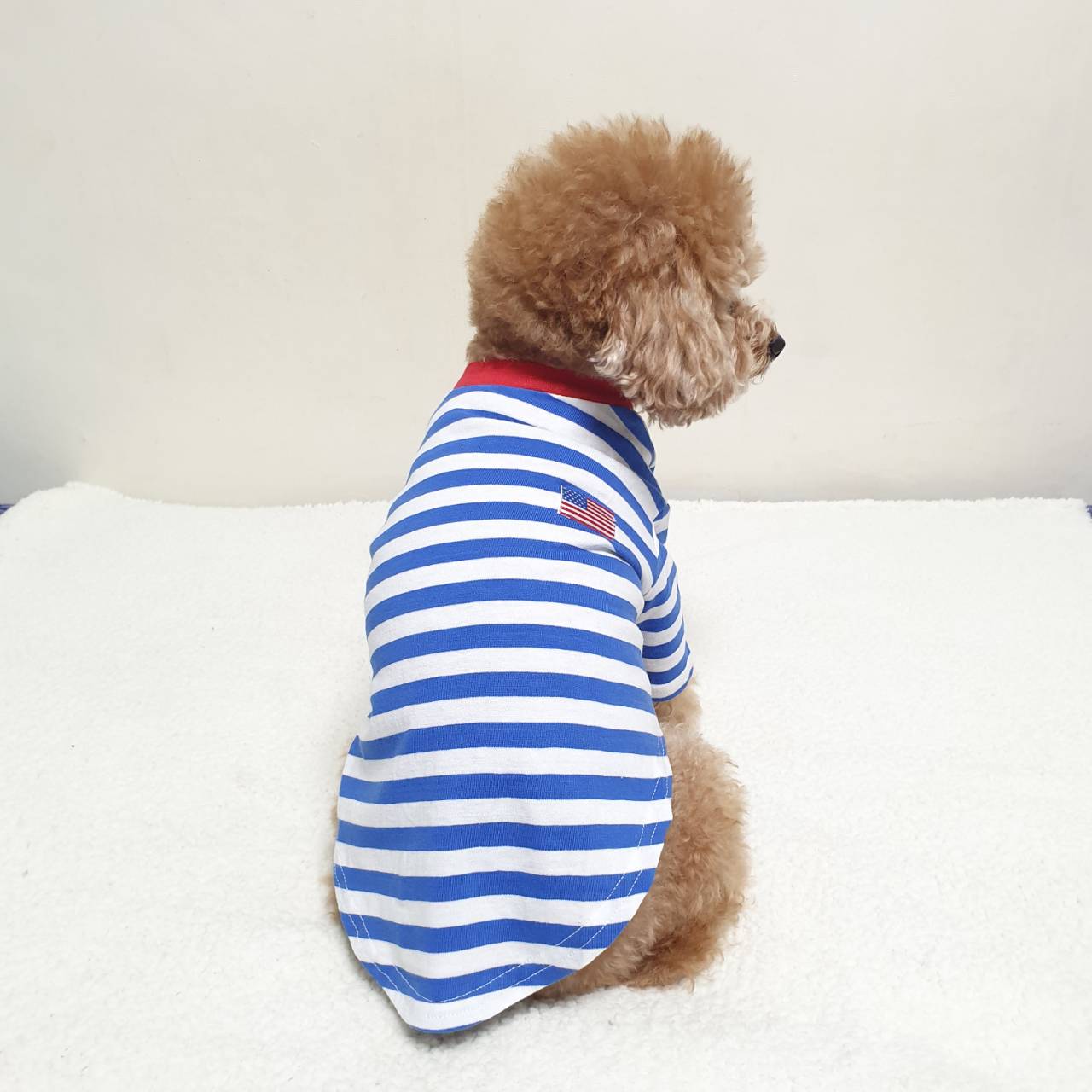 大型 犬 服 2xl 中型犬 大型犬 春 夏 秋 冬 綿 ボーダー柄 Tシャツ Cocker Papa 大型 犬 服 2xl 中型犬 大型犬 春 夏 秋 冬 綿 ボーダー柄 Tシャツ Cocker Papa