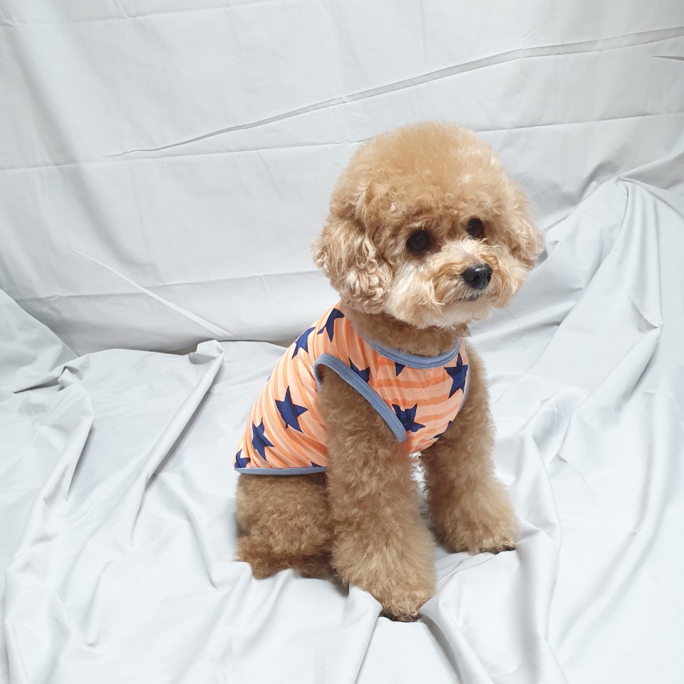 大型 犬 涼しい 服 6xl 中型犬 大型犬 夏 タンクトップ 星柄 ストライプ Cocker Papa