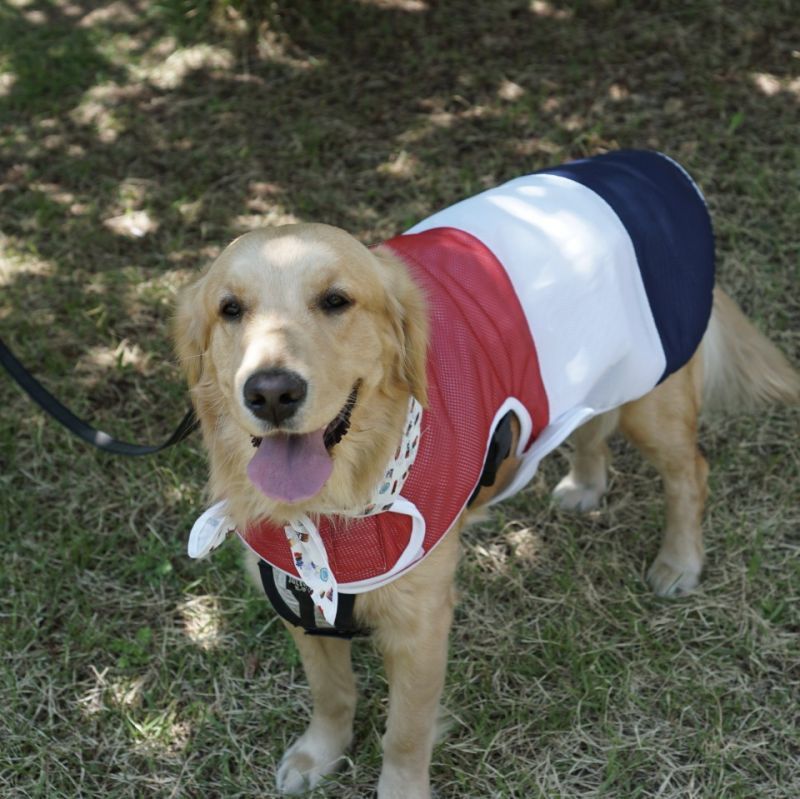 犬服 インポートドッグウェアcockerpapa コカパパ Doggystar ドッギースター 犬服 インポートドッグウェアcockerpapa コカパパ Doggystar ドッギースター