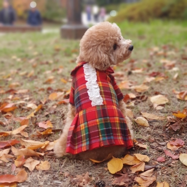 犬服 前開き 長袖 チェック ワンピース 春夏秋冬 小型犬 中型犬 韓国