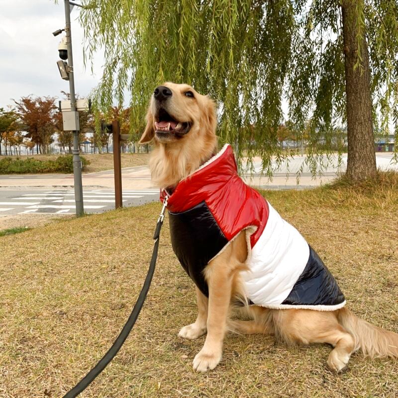 大型 犬 服 ダウン ベスト 3xl 中型犬 大型犬 秋 冬 軽量 キルティング シンプル Cocker Papa