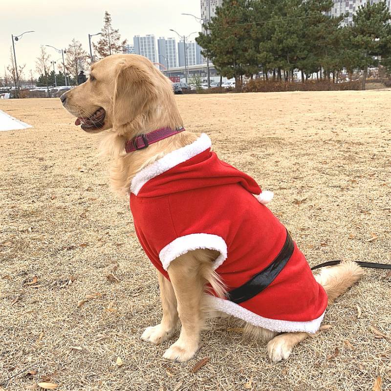 大型 犬 服 Tシャツ 2xl 中型犬 大型犬 冬 クリスマス サンタ 袖なし 軽量フ リース パーカー Cocker Papa 大型 犬 服 Tシャツ 2xl 中型犬 大型犬 冬 クリスマス サンタ 袖なし 軽量フ リース パーカー Cocker Papa