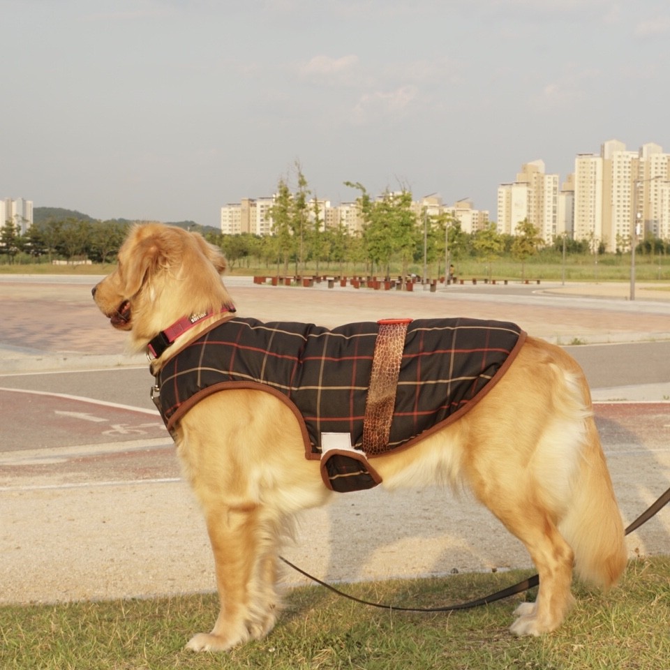 犬服 インポートドッグウェアcockerpapa コカパパ Doggystar ドッギースター