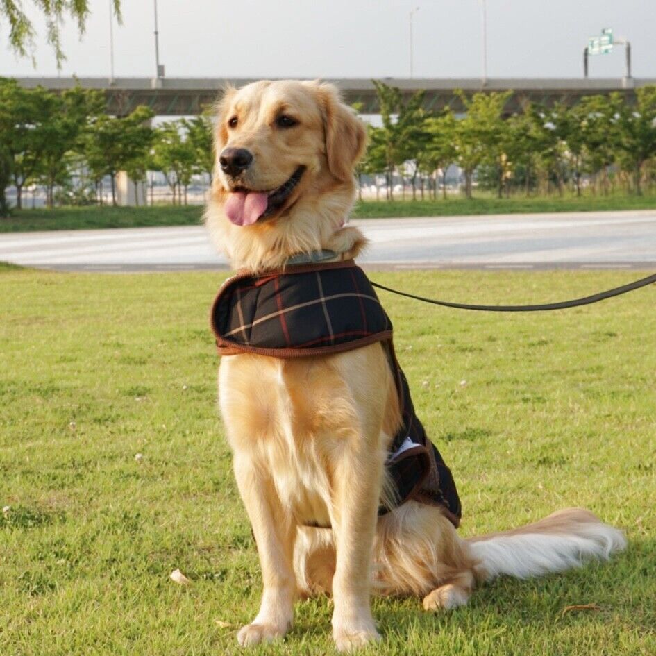 犬服 インポートドッグウェアcockerpapa コカパパ Doggystar ドッギースター