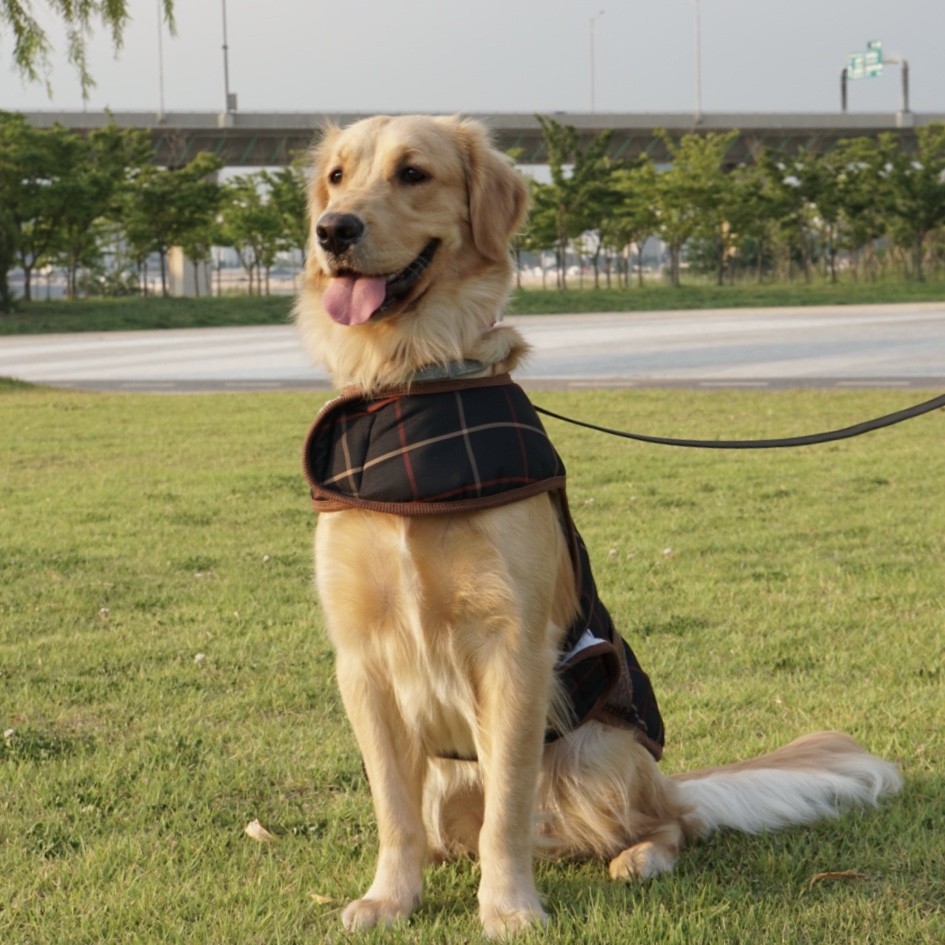 犬服 インポートドッグウェアcockerpapa コカパパ Doggystar ドッギースター 犬服 インポートドッグウェアcockerpapa コカパパ Doggystar ドッギースター