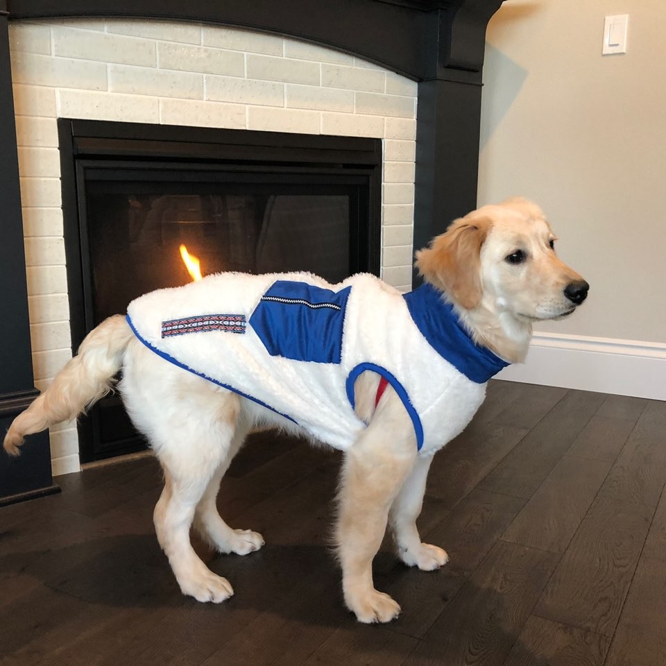 犬服 インポートドッグウェアcockerpapa コカパパ Doggystar ドッギースター