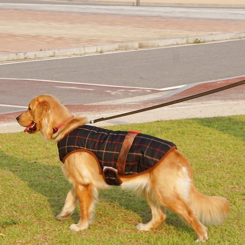犬服 インポートドッグウェアcockerpapa コカパパ Doggystar ドッギースター