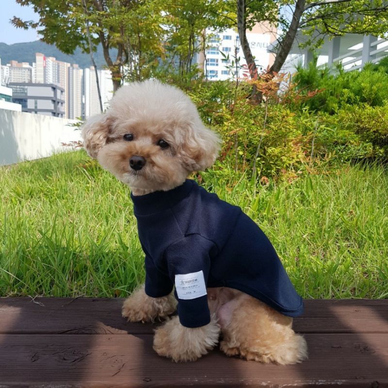 犬服 シンプル 無地 着せやすい ベーシック 長袖 Tシャツ 小型犬 中型