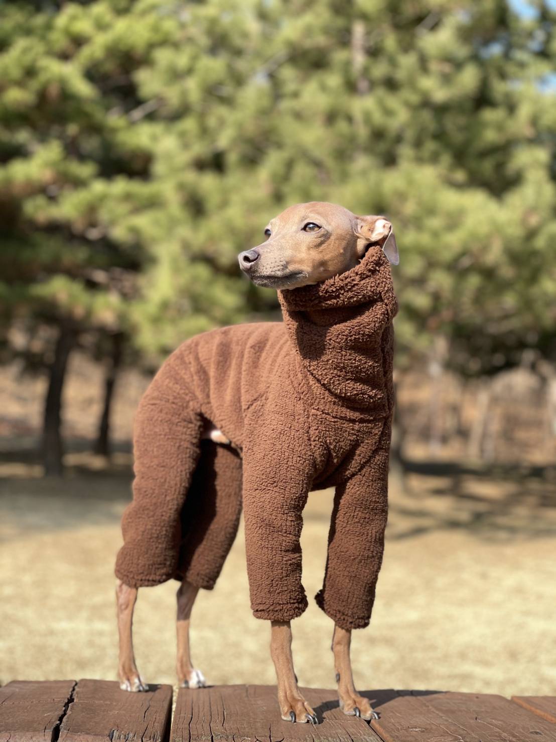 イタグレ服 ボア フリース ロンパース つなぎ 韓国犬服 もこもこ 小型 ...