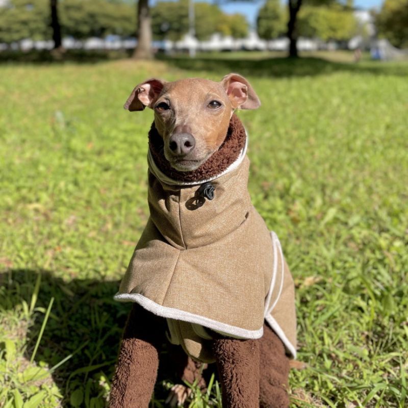 イタグレ服 中綿 バックル ダウンコート 韓国犬服 レインコート 小型犬