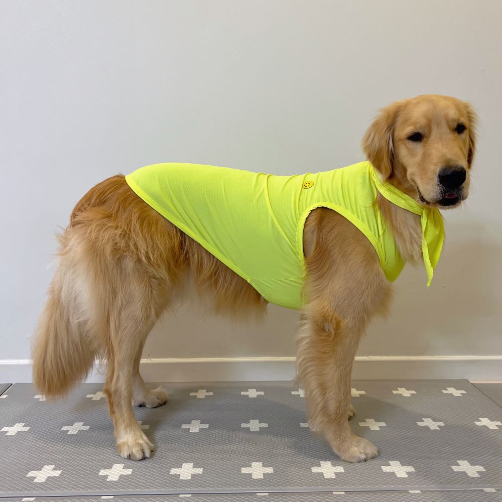 超大型犬 犬服 ひんやり スマイル クール ベスト スカーフ付き 接触 冷感 Tシャツ 韓国 無地 中型犬 大型犬 熱中症対策