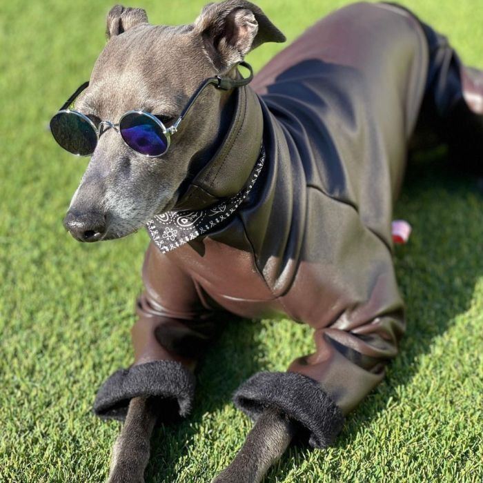 イタグレ服 レザー ミンク ロンパース 韓国犬服 小型犬 中型犬 秋冬 ...