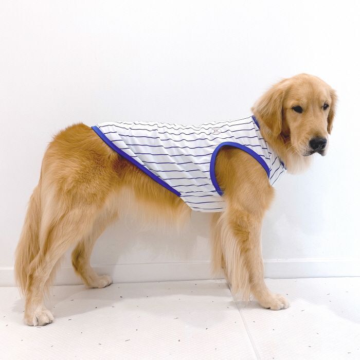 ☆ハンドメイド/オーダー受付¥1200犬服接触冷感生地・ベスト夏用☆
